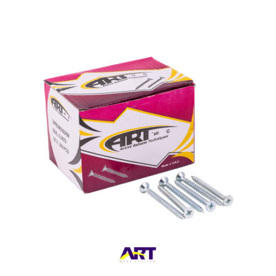 Wall mounting screw
